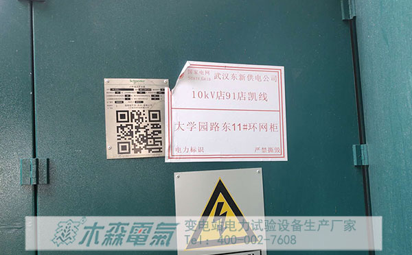直高發(fā)等10kV環(huán)網(wǎng)柜預防性試驗設備