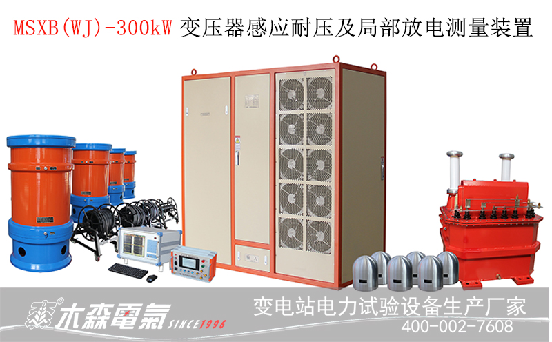 300kW主變感應(yīng)局放中煤集團(tuán)大屯發(fā)電廠220kV主變試驗(yàn)
